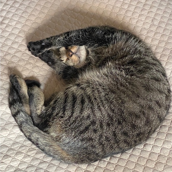 Meet your Posher, Amy - Picture 12 of 16